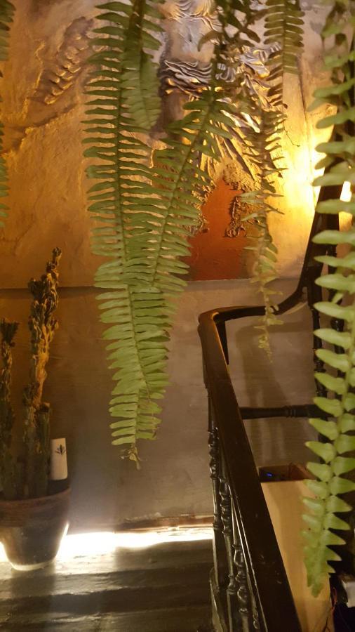 Vakana House